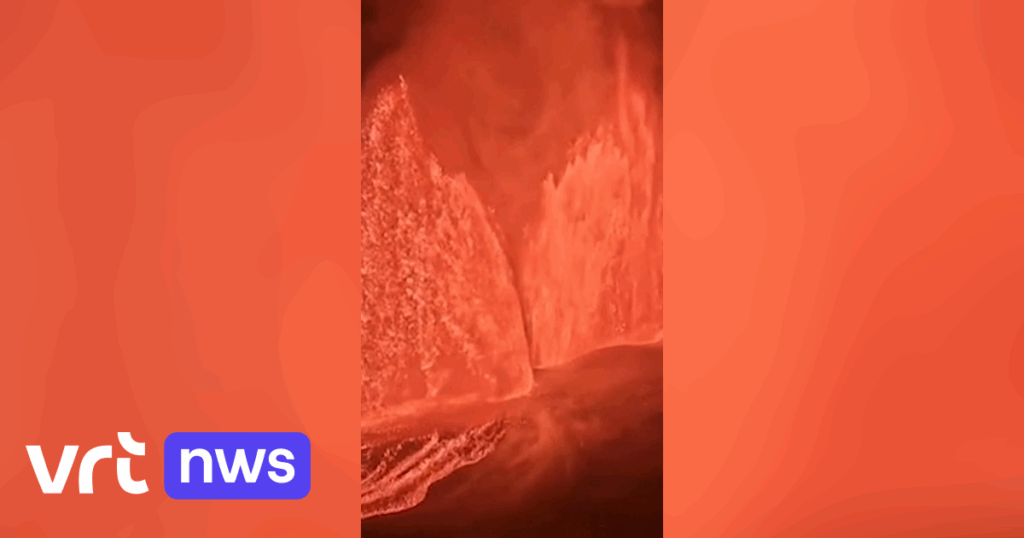 - wp header logo 161