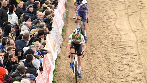 - wp header logo 175