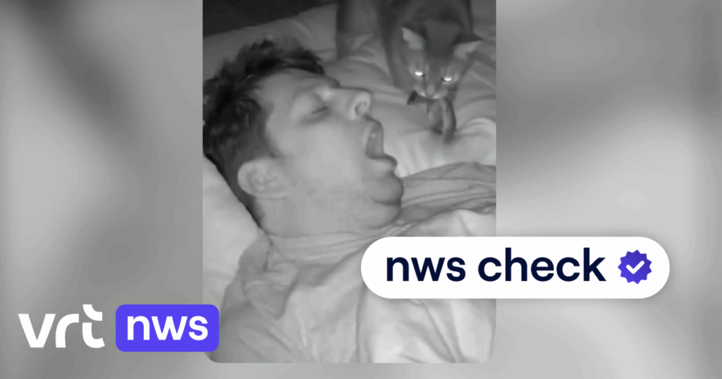 - wp header logo 181