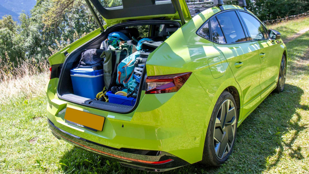 - wp header logo 202