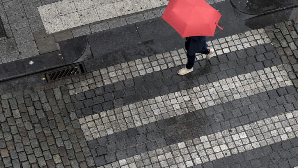 - wp header logo 205