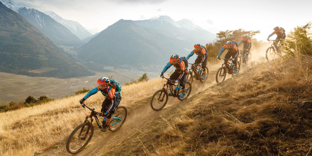 - wp header logo 219