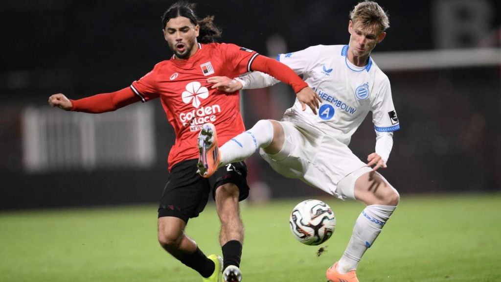 - wp header logo 241