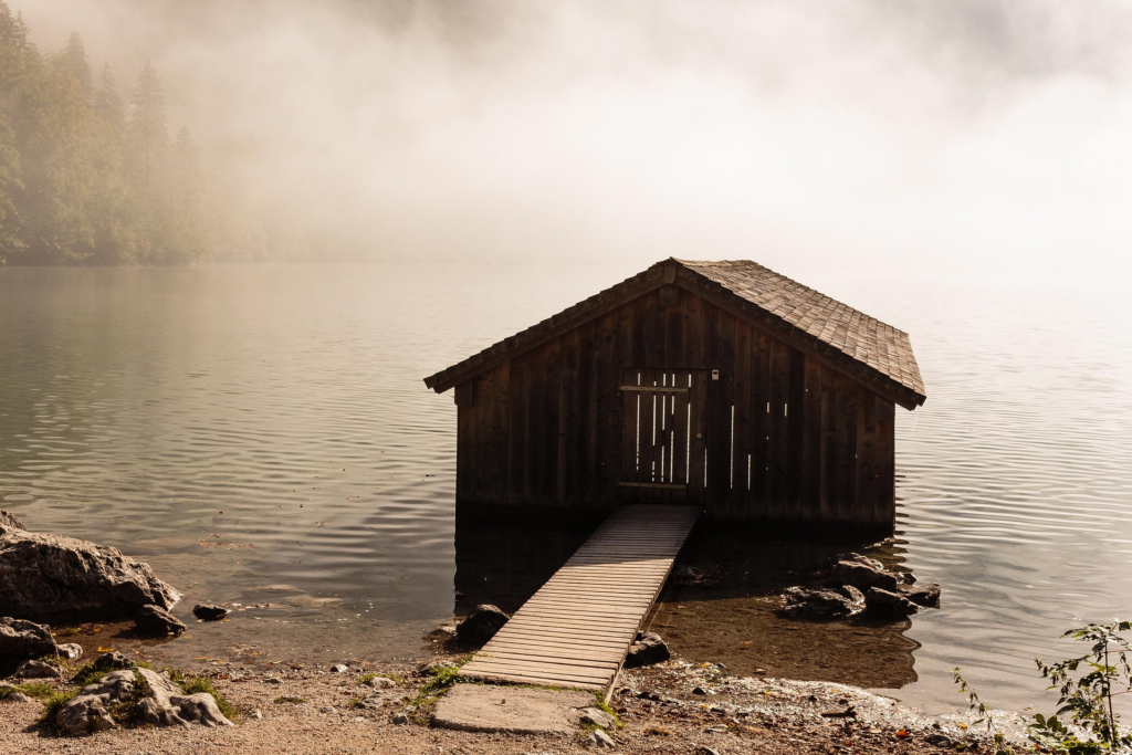 - wp header logo 245