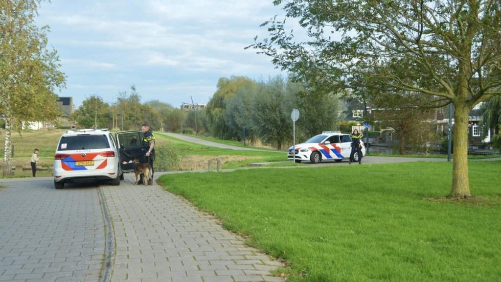 - wp header logo 251