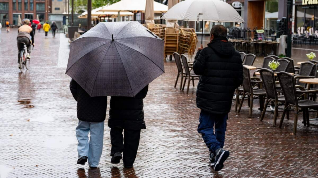 - wp header logo 254