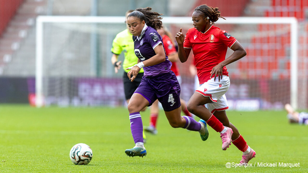 - wp header logo 255